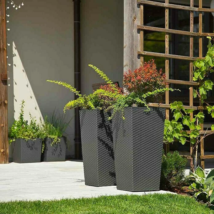 BAUHAUS Siena Garden Pflanzsäule Eckig Paris Außenmaß (L X B X H): 30 X 30 X 57 Cm, Kunststoff, Graphit – Bild 3