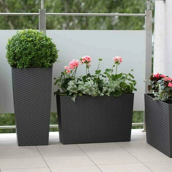 BAUHAUS Siena Garden Pflanzsäule Eckig Paris Außenmaß (L X B X H): 30 X 30 X 57 Cm, Kunststoff, Graphit – Bild 4