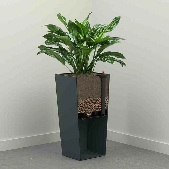 BAUHAUS Siena Garden Pflanzsäule Eckig Paris Außenmaß (L X B X H): 30 X 30 X 57 Cm, Kunststoff, Graphit – Bild 5