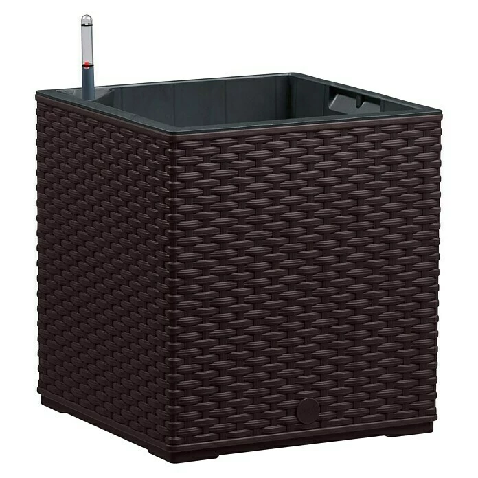 BAUHAUS Poétic Casa Mesh Pflanzkasten Außenmaß (L X B X H): 30 X 30 X 31 Cm, Kunststoff, Mokka