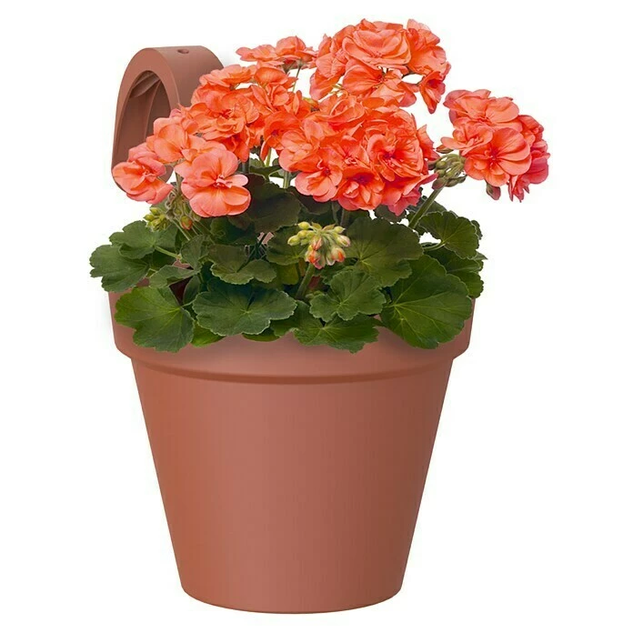 BAUHAUS Artevasi Capri Geländertopf Außenmaß (Ø X H): 20 X 28 Cm, Kunststoff, Terrakotta – Bild 2