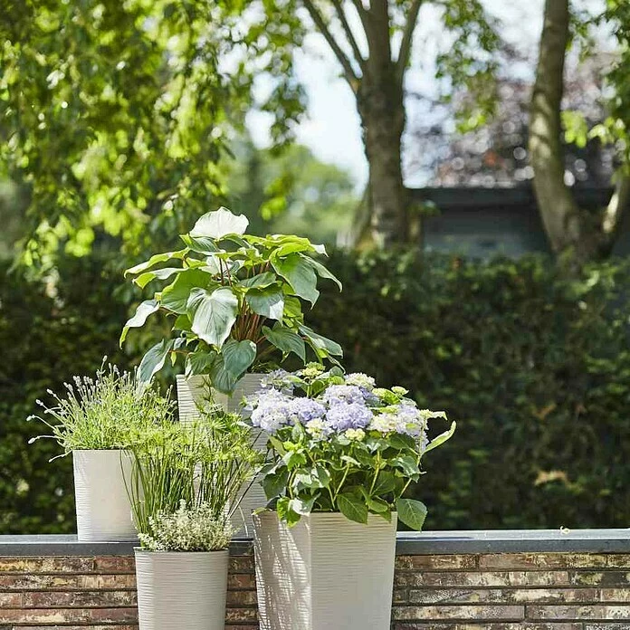 BAUHAUS Siena Garden Pflanzsäule Eckig Nizza Eco 25 X 25 X 46,5 Cm, Kunststoff, Weiß – Bild 3