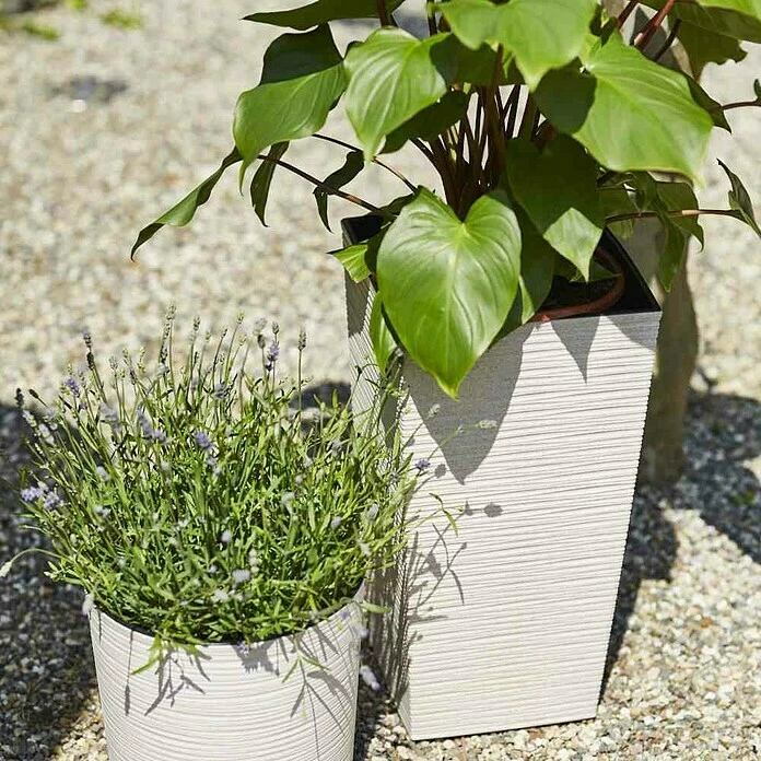 BAUHAUS Siena Garden Pflanzsäule Eckig Nizza Eco 25 X 25 X 46,5 Cm, Kunststoff, Weiß – Bild 4