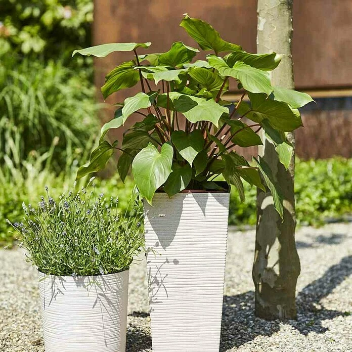 BAUHAUS Siena Garden Pflanzsäule Eckig Nizza Eco 25 X 25 X 46,5 Cm, Kunststoff, Weiß – Bild 5