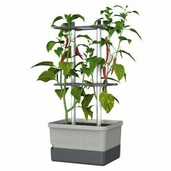 BAUHAUS Gusta Garden Pflanztopf Charly Chili 28 X 35 X 69 Cm, Ausstattung: Bewässerungssystem
