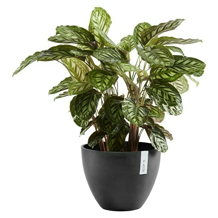 BAUHAUS Ecopots Pflanztopf Antwerpen Außenmaß (Ø X H): 50 X 37,5 Cm, Kunststoff, Dunkelgrau – Bild 2