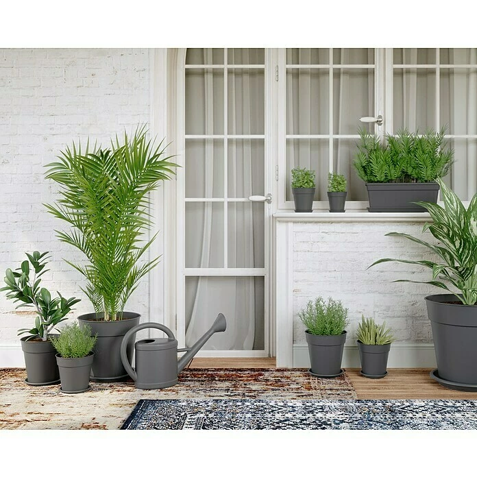 BAUHAUS Artevasi Madagascar Pflanztopf Außenmaß (Ø X H): 30 X 28,5 Cm, Kunststoff, Anthrazit – Bild 3