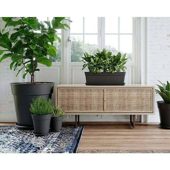 BAUHAUS Artevasi Madagascar Pflanztopf Außenmaß (Ø X H): 30 X 28,5 Cm, Kunststoff, Anthrazit – Bild 4