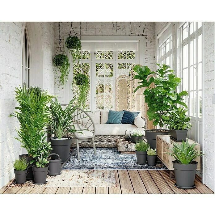 BAUHAUS Artevasi Madagascar Pflanztopf Außenmaß (Ø X H): 30 X 28,5 Cm, Kunststoff, Anthrazit – Bild 5