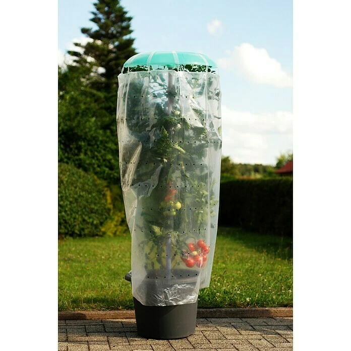 BAUHAUS KHW Tomatengewächshaus Tomatenhut & Pflanztopf 49 X 120 Cm, Kunststoff, Grau/Grün – Bild 5