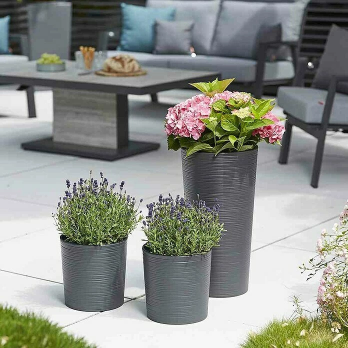 BAUHAUS Siena Garden Pflanztopf Lens Eco Außenmaß (Ø X H): 30 X 30,5 Cm, Kunststoff, Graphit – Bild 2